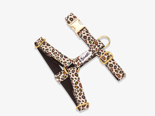Bandit - Harnais pour chien motif léopard - WILD WILD WOUF - M
