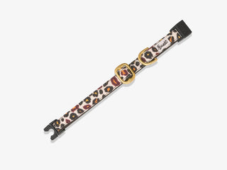 Bandit collier pour chat wild wild wouf taille S