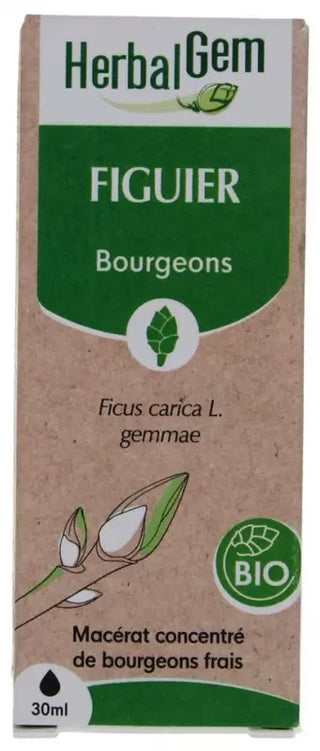 Herbalgem Figuier Bio Macérats-Mères de Gemmothérapie Concentrée 030173
