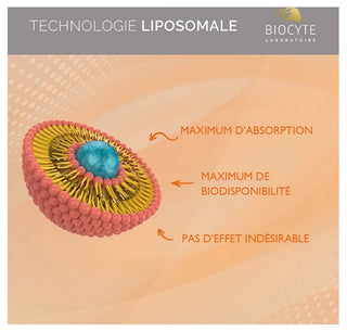 Biocyte Vitamine C-D3-Zinc Sticks - 14 sticks