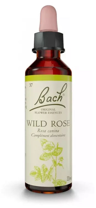 Fleurs de Bach Original Fleurs de Bach® Original Wild Rose / Églantier / Rosa Canina