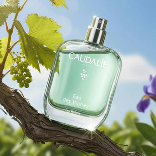 Caudalie Eau Fraîche Eau des Vignes – Eau parfumée fraîche et sensuelle
