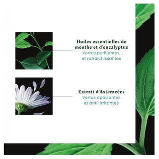 René Furterer Astera Fresh Shampooing Apaisant Fraîcheur Cuir Chevelu Irrité 250 ml + 25% Offert