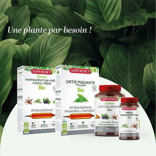 SUPERDIET Curcuma Curcumine - Pipérine BIO