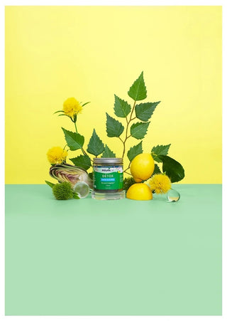 Mium Lab Détox Sans Sucres 4 plantes 42 Gummies