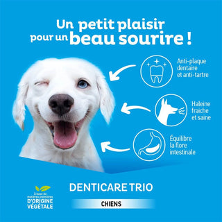 Clement Thékan Hygiène Bucco-dentaire Lamelles A Mâcher Chien 10-30kg