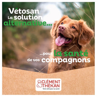 Clément Thékan Vétosan Mousse Lavante Sans Rinçage Chats et Chienss 150 ml