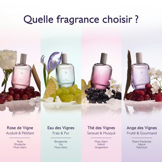 caudalie-the-des-vignes-eau-fraiche-100ml-paraplus-1