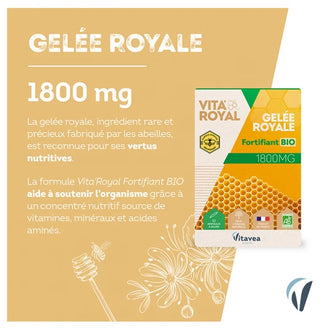 Vitavea Nutrisanté Gelée Royale