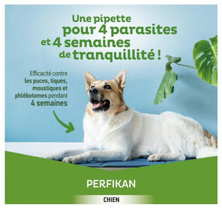 Clément Thékan anTi-Puces Anti-Tiques Chien 4-10Kg 4 Pipettes