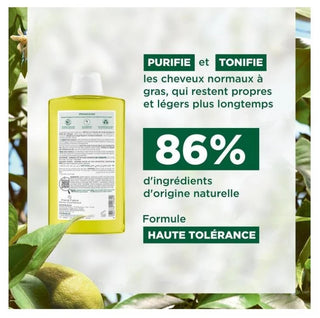 Klorane Cédrat - Shampooing Légèreté Cheveux Mixtes à Gras 400 ml