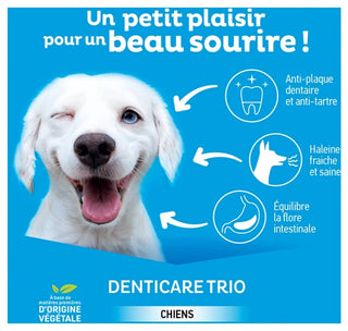 Clément Thékan hygiène Bucco-Dentaire Lamelles a Mâcher Chien 5-10Kg
