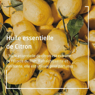 Weleda Citrus Déodorant roll-on 24h