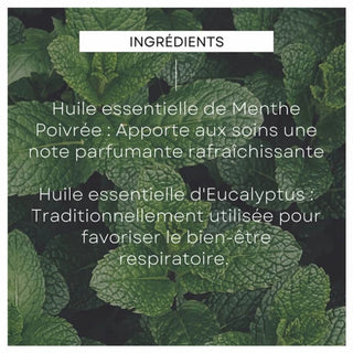 Weleda Déodorant Stick Eucalyptus Menthe Poivrée lot de 2