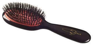 Cartel PARIS Brosse Pneumatique Sanglier Sac