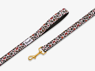 BANDIT LAISSE CHIEN WILD WOUF - 120CM