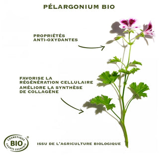 Sanoflore Masque Merveilleux Anti-Âge Bio 75 ml