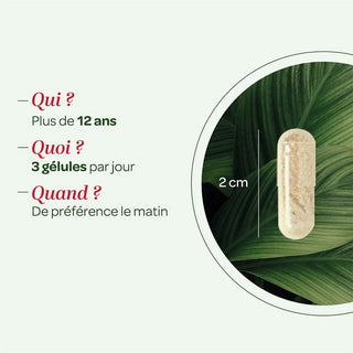 SUPERDIET Curcuma Curcumine - Pipérine BIO