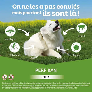 Clément Thékan Anti-Puces Anti-Tiques Chien 20-40kg 4 Pipettes