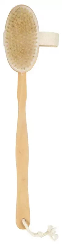 Cartel PARIS Brosse Bain Bois