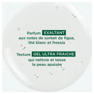 Klorane Gel Douche  - Feuille de Figuier - Tous Types de Peaux - Hydratant 200 ml
