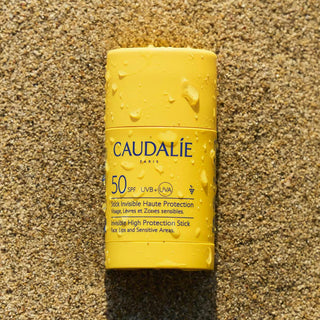 Caudalie stick solaire spf50